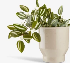 ASGARPlanta artificial ASGAR A48cm colgante