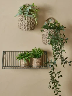 BERTRAMPlanta artificial BERTRAM Ø8xA18cm variado