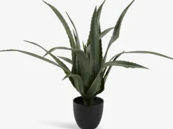 CELIUSPlanta artificial CELIUS A65cm aloe vera