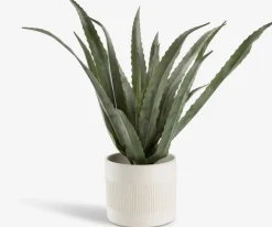 CELIUSPlanta artificial CELIUS A65cm aloe vera