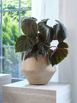 GERMUNDMaceta GERMUND Ø34xA29cm marrón