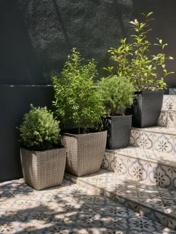 ISLOMCesto de jardín ISLOM 38x38x39 negro