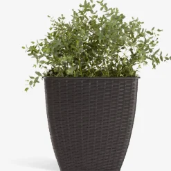 ISLOMCesto de jardín ISLOM 38x38x39 variado