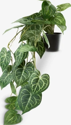 KNOPPSVANEPlanta artificial KNOPPSVANE A30cm verde