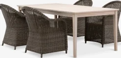 KOLLEN + GAMMELBYMesa KOLLEN L205 madera dura + 4 sillas GAMMELBY gris