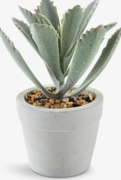 LOVEPlanta artificial LOVE Ø7xA15 variado