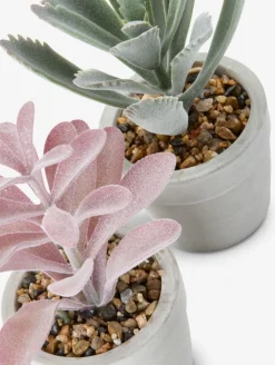 LOVEPlanta artificial LOVE Ø7xA15 variado