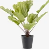 ROLFPlanta artificial ROLF A55cm verde