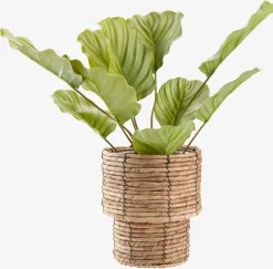 ROLFPlanta artificial ROLF A55cm verde