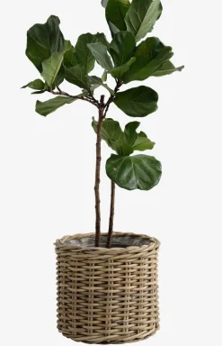 SEGLACesto de jardín SEGLA Ø50xA45 ratán natural