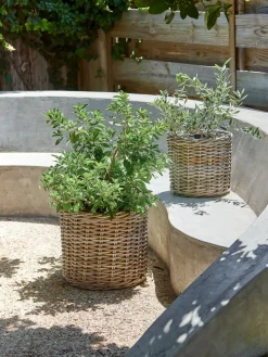 SEGLACesto de jardín SEGLA Ø50xA45 ratán natural