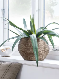 SIVERTMaceta SIVERT Ø26xA23cm marrón