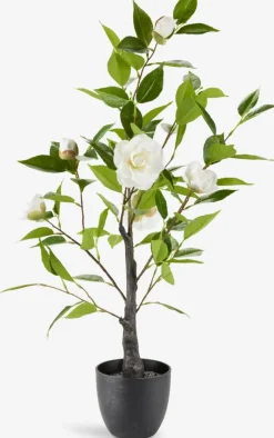 SOLOPGANGPlanta artificial SOLOPGANG A80 rosal blanco