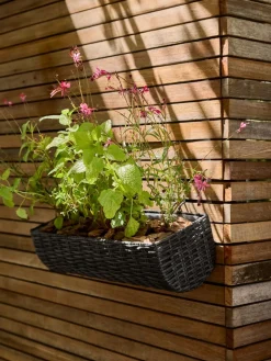 STEINTROSTJardinera para balcón STEINTROST A18xL50xA16 negro
